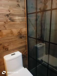 a bathroom with a toilet and a wooden wall at Refugio Alpina lodge in El Canelo