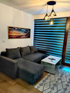 Area soggiorno di Borovi 3, apartman 4