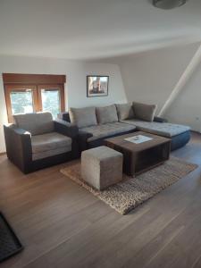 ヤホリナにあるApartmani vila Elenaのソファとコーヒーテーブルのあるリビングルーム