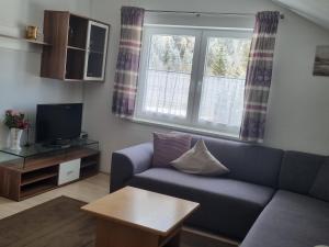 ein Wohnzimmer mit einem blauen Sofa und 2 Fenstern in der Unterkunft Haus Aras in Prutz