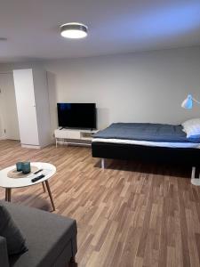 TV a/nebo společenská místnost v ubytování Hotell Silverborgen