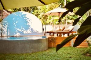 an iguanauanauanauanauanauanauanauanauanauanauanauanauanauana at Swallow villa - French guest house-ADULTS ONLY in Ahangama