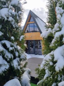 a cabin in the snow with snow covered trees at Tana dell Lupo in Colibiţa