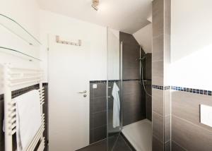 uma casa de banho com um chuveiro e uma cabina de duche ao nível do chão em Toplage direkt an der Steilküste - FeWo 2 "Ostseenest" Hohwacht em Hohwacht