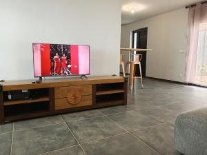 TV a/nebo společenská místnost v ubytování VILLA DES PATISSONS