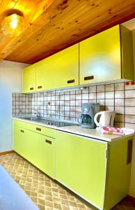 Kuchyň nebo kuchyňský kout v ubytování Appartement Primula - Haus Midi
