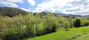 an aerial view of a green field with trees at O'Cœur de la Roche - Jacuzzi et Hammam privatif in Saint-Blaise-la-Roche