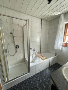 Bilik mandi di Ferienwohnung in Zaberfeld