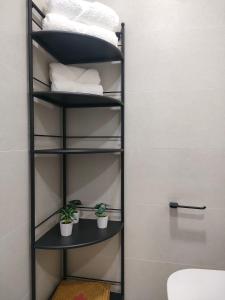 a shelf with towels and potted plants in a bathroom at Playa Alcabre in Vigo