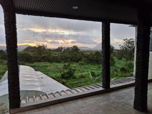 a view from the window of a tent looking out at a field at Ant's residence in Curepipe
