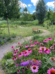 Um jardim no exterior de Frajárka