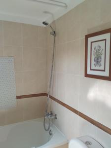 a bathroom with a bath tub and a toilet at Casa da Milharica in Figueiró dos Vinhos +18 photos