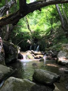 Φυσικό τοπίο κοντά σε αυτό το δωμάτιο σε οικογενειακή κατοικία