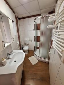 Vannituba majutusasutuses Apartmaji Paradiso