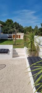 a house with white walls and a palm tree at Villa Korta Regina in Ston