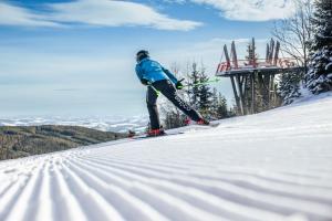 a person is skiing down a snow covered slope at Villa Luef in Mönichkirchen
