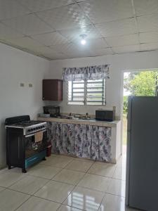 Kuchyň nebo kuchyňský kout v ubytování Copey house Chiriquí, vía hacia Volcán