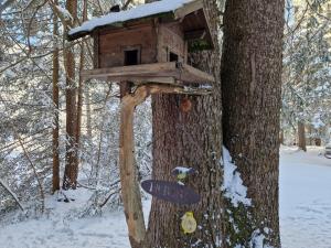 Wohlfühl-Appartement Bergsee FAMILY - am Wildsee - SUP und Schlitten for free v zimě