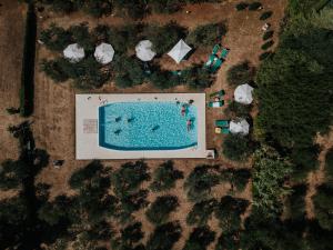 The swimming pool at or close to Podere San Giorgio