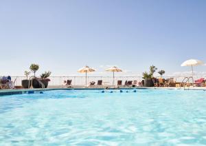 a large swimming pool with chairs and umbrellas at Sound View Greenport in Greenport