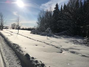 Kořenov byt Alda durante l'inverno