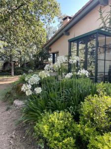 En have udenfor Casa Rural Finca De Musgo