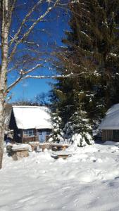 una casa cubierta de nieve en el frente en Casuta dintre brazi, en Râșca