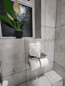 a bathroom with rolls of toilet paper and a plant at Cosy 2 Bedroom Apartment in Stifford +1 photo