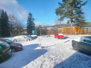 Apartmán ÁJA - Lipno nad Vltavou v zimě