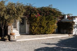 a house with a green door and some flowers at Seaduction in Kastraki Naxou