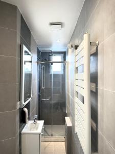 a bathroom with a shower and a sink at Le Loft de l'Artiste in Sèvres +7 photos