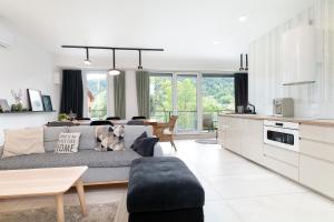Una sala de estar con un sofá y una cocina. en Apartament MK - Na Szczyt, en Szczyrk