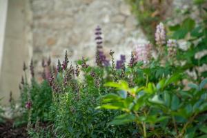 Giardino di The Arch House