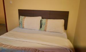 KakamegaTulivu Space的一张床，上面有两个枕头