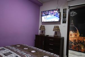 TV a/nebo společenská místnost v ubytování Hôtel d’lyon