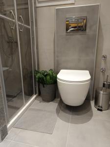 een badkamer met een toilet en een douche bij Retro in Tríkala