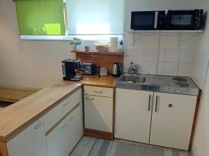 Kuchyňa alebo kuchynka v ubytovaní Apartment an der Hutweide