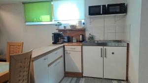 Kuchyňa alebo kuchynka v ubytovaní Apartment an der Hutweide