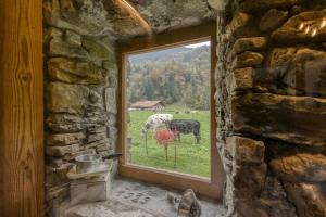 Zahrada ubytování Nature Hideaway At Ferme A Marius