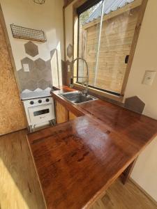 Kuchyň nebo kuchyňský kout v ubytování Tiny House Turmalina + 14 fotografií