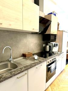 Kuchyňa alebo kuchynka v ubytovaní Belvedere Apartment