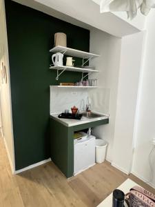 a kitchen with a green wall and a sink at Ljubičica in Čačak