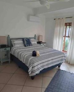 ジンクワジ・ビーチにあるSea Esta Coastal Beach Houseのぬいぐるみが置かれたベッドのある寝室 +53枚の写真