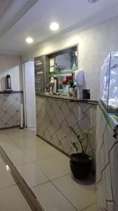 a kitchen with a counter with a potted plant at Hospedaria Monumento in Sao Paulo