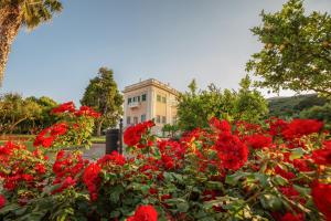 a field of red flowers in front of a building at Villa Irlanda Grand Hotel in Gaeta