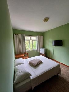 ein grünes Schlafzimmer mit Bett und Fenster in der Unterkunft Espaço Plataforma in Nova Friburgo