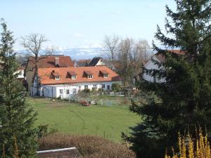 une grande maison avec une grande cour avec une pelouse dans l'établissement Silvaner-Laube Ferienwohnung Silvanerlaube A, à Meersburg