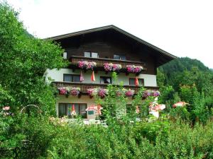 Zahrada ubytování Pension Wildental
