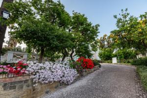 a street with flowers on a retaining wall at Villa Irlanda Grand Hotel in Gaeta