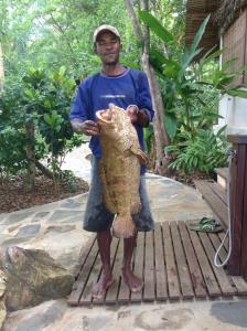 Majutusasutuse Coco Komba Lodge külastajad